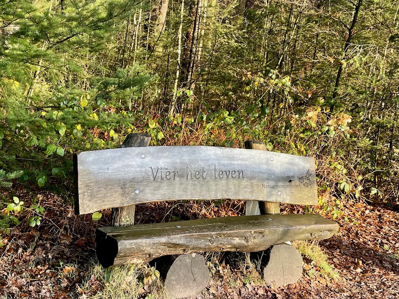 Waarom we steeds uit verbinding gaan